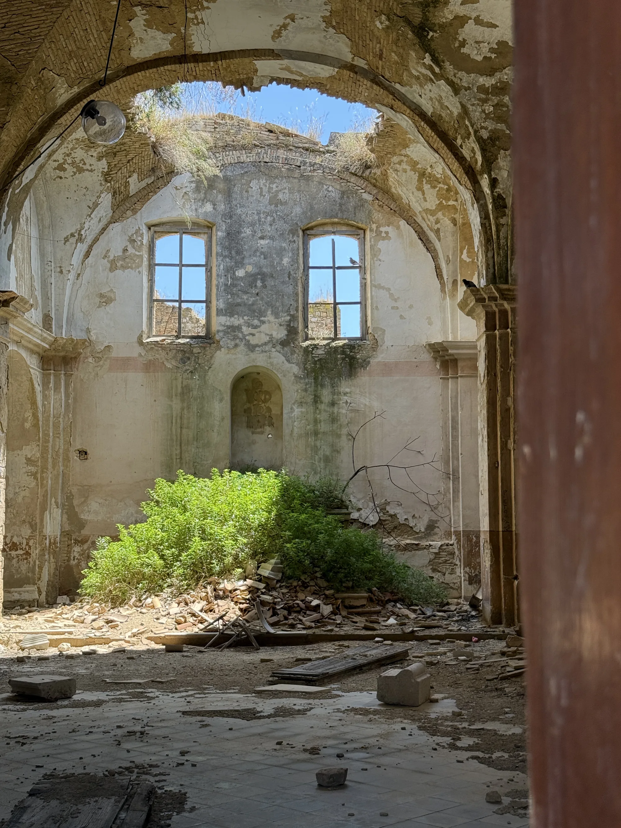 Craco abandoned church interior with bush growing at the altar, Basilicata