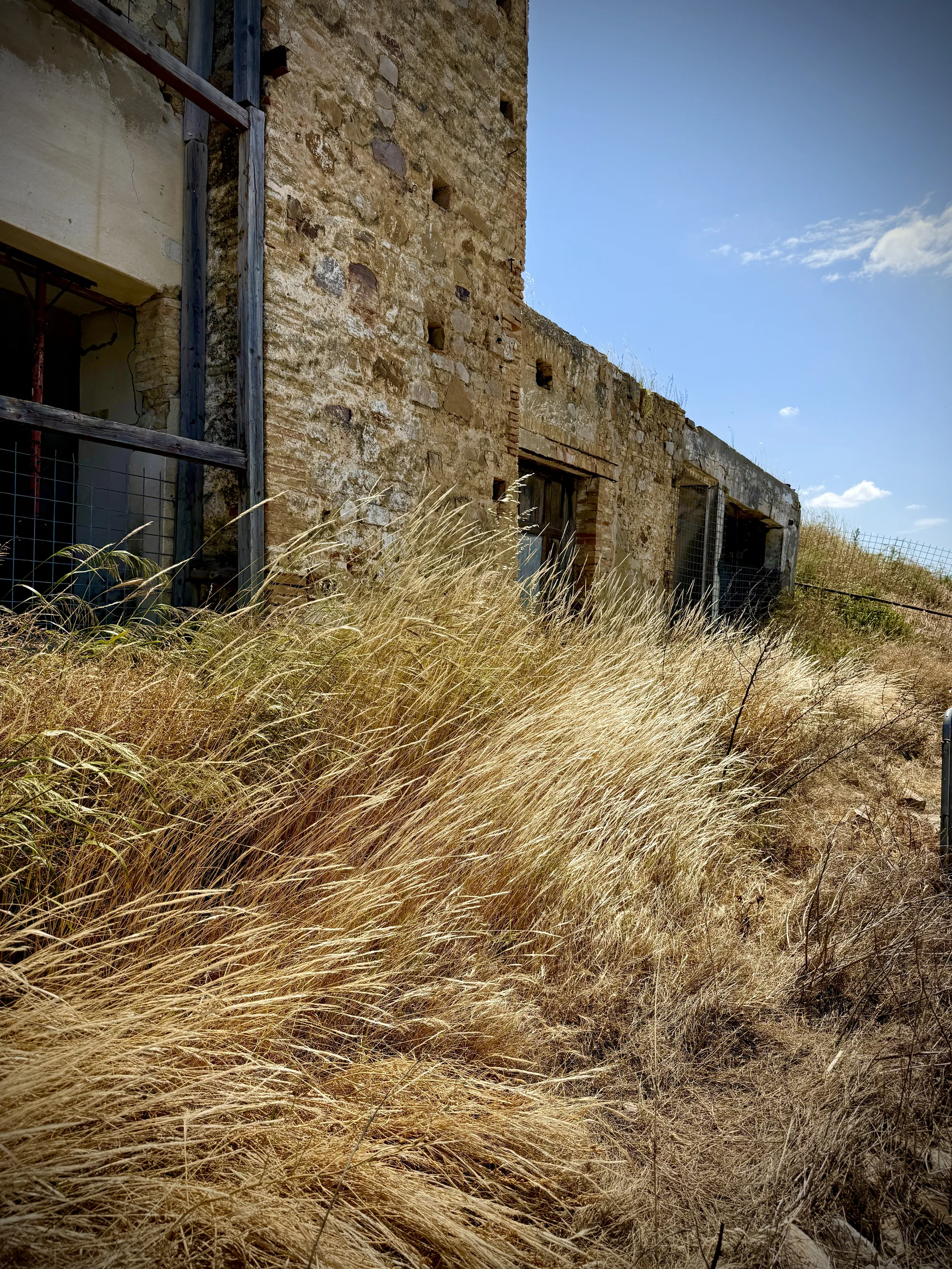 Golden grass and ruins in Craco, Basilicata southern Italy